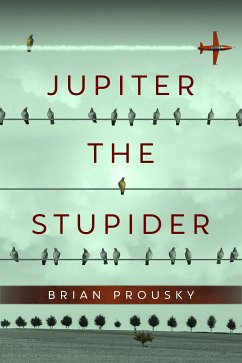 Jupiter the Stupider (eBook, ePUB) - Prousky, Brian