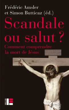 Cover Scandale ou salut ? (eBook, ePUB)