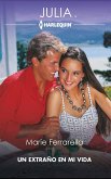 Un extraño en mi vida (eBook, ePUB)