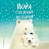 Pora snezhnyh istoriy (MP3-Download)