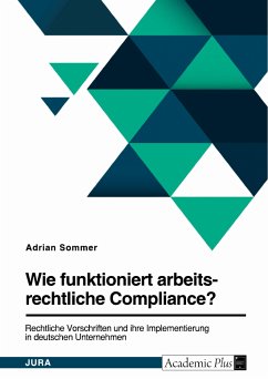 Wie funktioniert arbeitsrechtliche Compliance? Rechtliche Vorschriften und ihre Implementierung in deutschen Unternehmen (eBook, PDF) - Sommer, Adrian