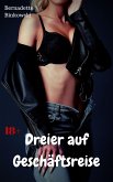 Dreier auf Geschäftsreise (eBook, ePUB)