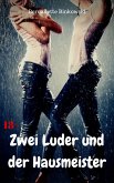 Zwei Luder und der Hausmeister (eBook, ePUB)