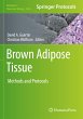 Brown Adipose Tissue - Bild 1