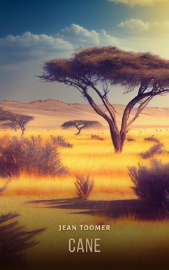 Cover Cane (eBook, ePUB)