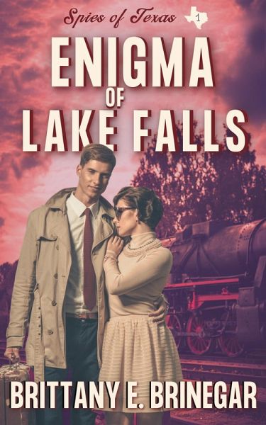 Enigma of Lake Falls (Spies of Texas, #1) (eBook, ePUB)