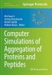 Computer Simulations of Aggregation of... - Bild 1
