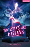 The Boys Are Kissing (eBook, ePUB)