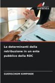 Le determinanti della retribuzione in un ente pubblico della RDC