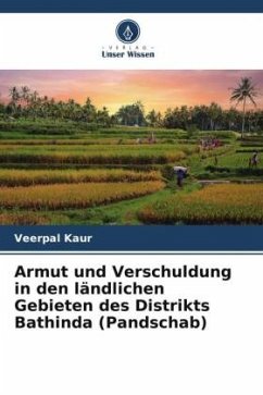 Armut und Verschuldung in den ländlichen Gebieten des Distrikts Bathinda (Pandschab) - Kaur, Veerpal