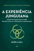 A experiência junguiana