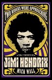 Vida y muerte de Jimi Hendrix