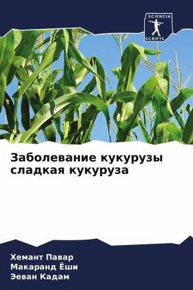 Zabolewanie kukuruzy sladkaq kukuruza Zabolewanie kukuruzy sladkaq kukuruza