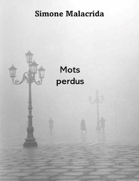 Mots perdus (eBook, ePUB)