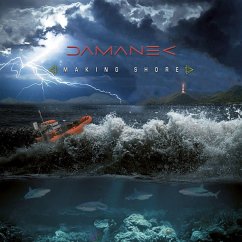 Making Shore - Damanek