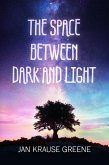 The Space Between Dark and Light (eBook, ePUB)