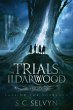 The Trials of Ildarwood - Bild 1