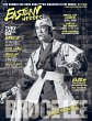 Bruce Lee Special No 6 bumper (extended... - Bild 1