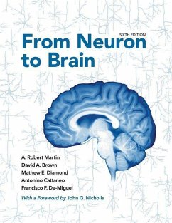 From Neuron to Brain - Martin, A. Robert; Brown, David A.; Diamond, Mathew E.