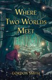 Where Two Worlds Meet (eBook, ePUB)