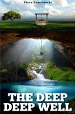 The Deep Deep Well (eBook, ePUB)