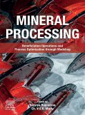 Mineral Processing (eBook, ePUB)