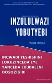 Inzululwazi Yobutyebi (eBook, ePUB)