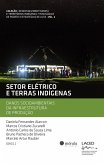 Setor elétrico e terras indígenas (eBook, ePUB)