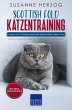 Scottish Fold Katzentraining - Ratgeber... - Bild 1