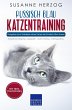 Russisch Blau Katzentraining - Ratgeber... - Bild 1