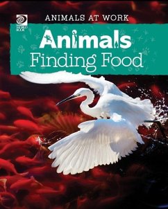 Animals Finding Food - Wolf, Alex