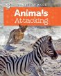 Animals Attacking - Bild 1