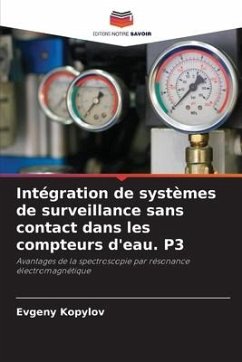 Intégration de systèmes de surveillance sans contact dans les compteurs d'eau. P3 - Kopylov, Evgeny