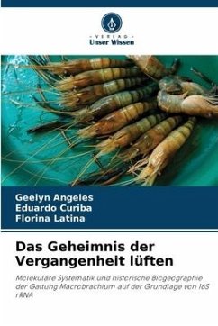 Das Geheimnis der Vergangenheit lüften - Angeles, Geelyn;Curiba, Eduardo;Latina, Florina