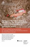 Infraestrutura para produção de commodities e povos etnicamente diferenciados (eBook, ePUB)