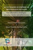 Actividades económicas artesanales en oasis (eBook, PDF)