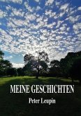 Meine Geschichten (eBook, ePUB)