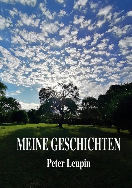 Meine Geschichten (eBook, ePUB) Meine Geschichten (eBook, ePUB)