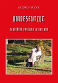 Kindesentzug (eBook, ePUB)