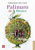 Palinuro de México (eBook, ePUB)