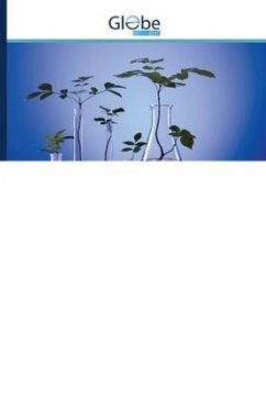 Cover G.hirsutumL. ТУРИЧИ ДУРАГАЙЛАРИДА МОРФОБИОЛОГИК БЕ&