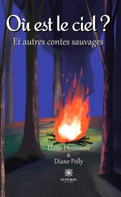 Où est le ciel ? (eBook, ePUB) - Desseauve, Eloïse; Pelly, Author