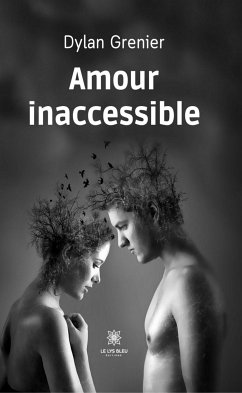 Amour inaccessible (eBook, ePUB) - Grenier, Dylan