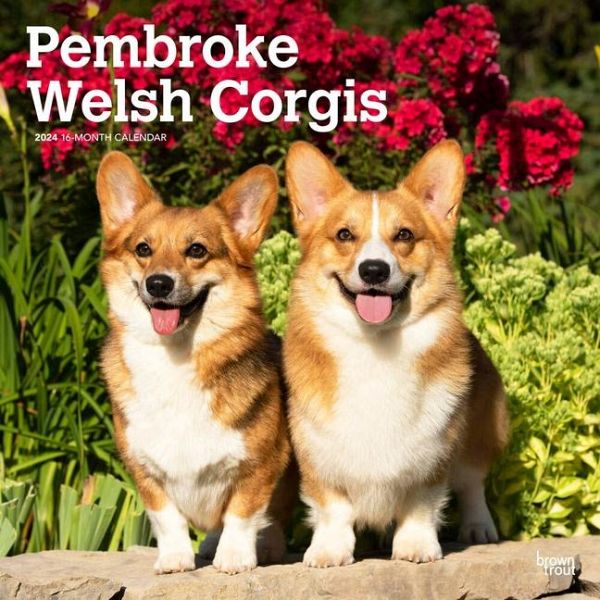 WELSH CORGIS PEMBROKE 2024 SQUARE WELSH CORGIS PEMBROKE 2024 SQUARE