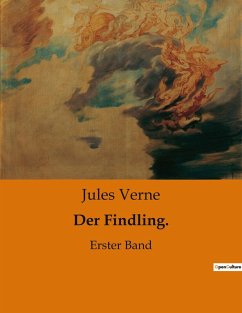Cover Der Findling.