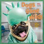 Avanti Dogs Gone Wild 2024 Mini 7x7