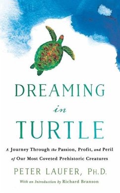 Dreaming in Turtle - Laufer, Peter