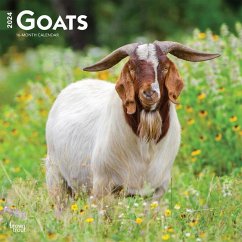 Goats 2024 Square