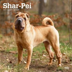 Shar Pei 2024 Square