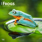 Frogs 2024 Square